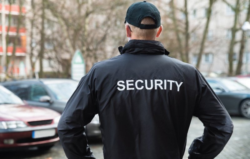 security-guard-professionalism professional security